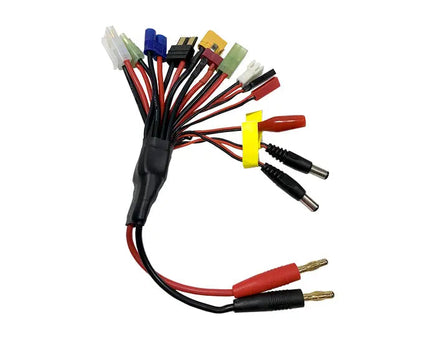 DSMULTICONN Dualsky Multi Charge Connector with DC3, XT60, Traxxas, Deans-Mad 4 Heli