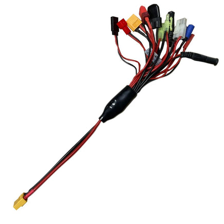 DSMULTICONN Dualsky Multiconnector Charge Lead with XT60 Input OMP
